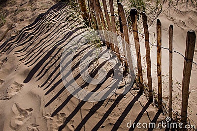 Rustic and weathered fence in front of sand dune on sandy sea beach Crosby England Europ Stock Photo