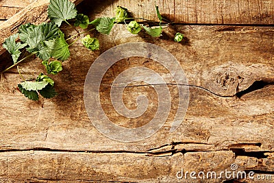 Rustic weathered wood background with greenery Stock Photo