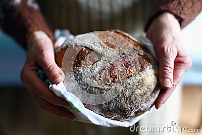 Rustic wholegrain sourdough bread, hands holding fresh loaf Stock Photo