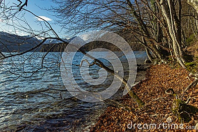 Rustic wilderness shore line of pond lake in autumn golden season park outdoor environment space in October day Stock Photo