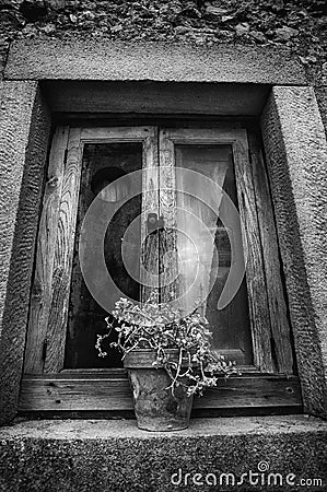 Rustic window with potted plant Stock Photo