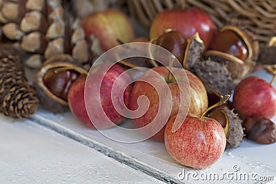 Rustic winter still life with apples Stock Photo