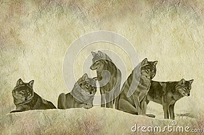 Rustic Wolf Pack Parchment Cartoon Illustration