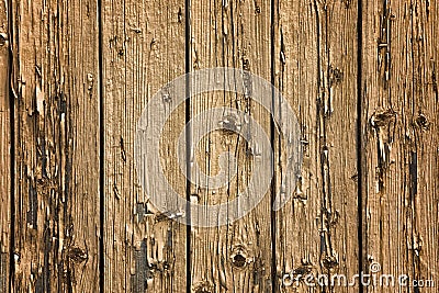 Rustic wood texture with natural patterns surface as background Stock Photo