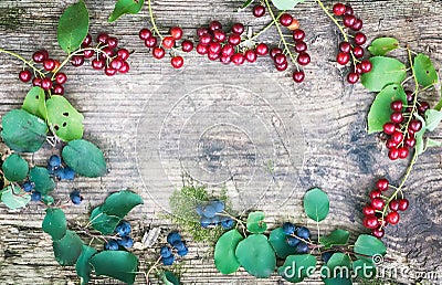 Rustic wooden board with forest berries branchlets Stock Photo