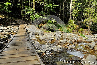 Rustic wooden bridge over a mountain stream Stock Photo