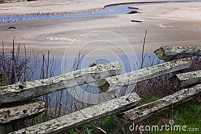 Rustic Wooden Fence Lookout Point With View of Birds on a Sandy Lagoon, at San Gregorio Beach, California Stock Photo