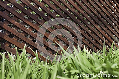 Rustic wooden latticework in the shape of a corridor on a stone floor and green grass Stock Photo