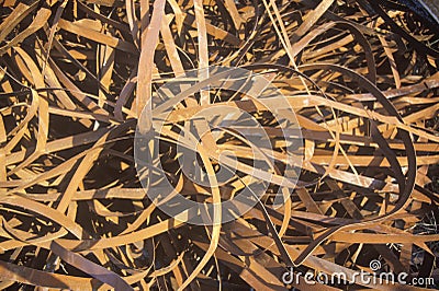 Rusting metal bands sitting in a pile Stock Photo