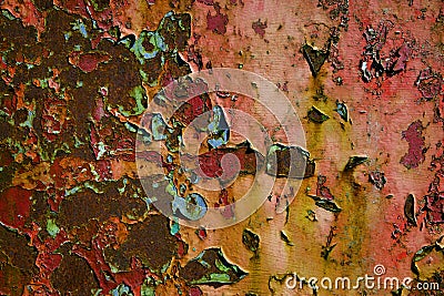Rusting metal and flaking paint. Stock Photo