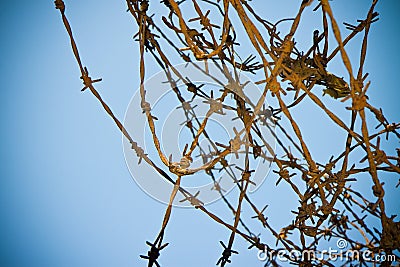 Rusty barbed wire against a sky background - Concept image Stock Photo