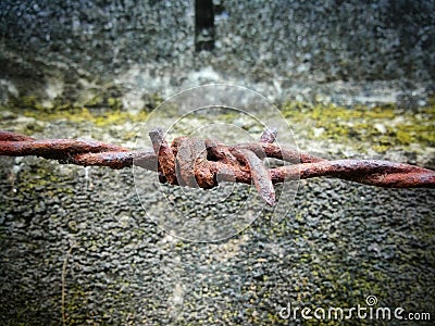 Rusty barbed wire Stock Photo