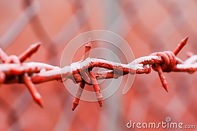 Rusty Barbed Wire A Symbol of Restriction, Confinement, and Isolation The sharp points represent danger, while the intertwined Stock Photo