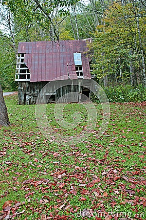 Rusty Barn, Fall Leaves vertical Stock Photo