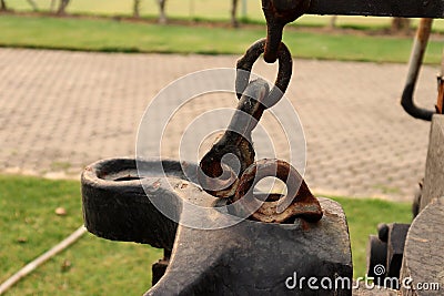 Rusty Bolt Type Anchor Shackles , hook on chain ,climbing carabiner on green garden Stock Photo