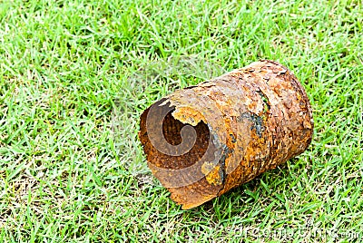 Rusty can on green grass Stock Photo