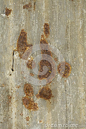 Rusty corrugated iron metal textu Stock Photo
