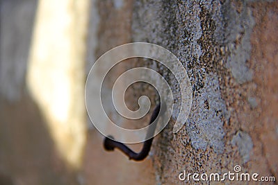 Rusty and crooked nail in wall Stock Photo