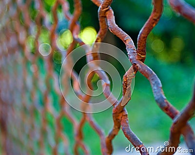 Rusty fence Stock Photo