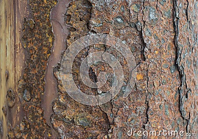 Rusty galvanized ironl texture background Stock Photo