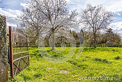 Rusty metal gate open to green grassy esplanade with bare trees and abundant vegetation in background Stock Photo