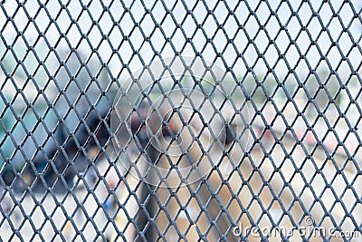 Rusty metal mesh with a blurry background. Stock Photo