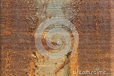 Rusty Metal Texture - Abstract Wallpaper Background Stock Photo