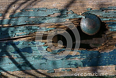Rusty nail in a hole of a rotten wooden plank with flaking blue color, copy space, selected focus Stock Photo