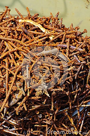 Rusty nails group objects Stock Photo