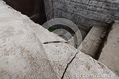 Rusty screws on concrete surface near the stone staircase Stock Photo