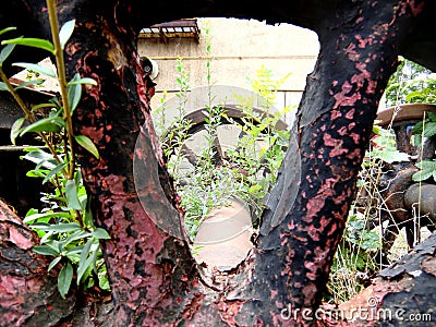 Rusty steam locomotive wheel Stock Photo