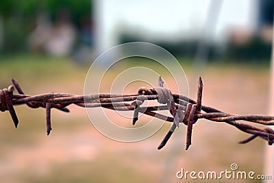 Rusty steel barbed wire on blurred background Stock Photo