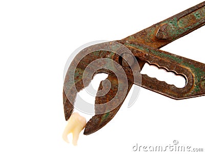 Rusty Tooth Pliers Stock Photo
