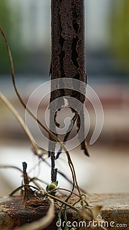 Rusty weathered damaged metal fence Stock Photo