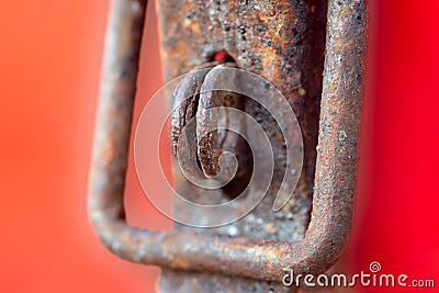 Hasp and Staple Stock Photo