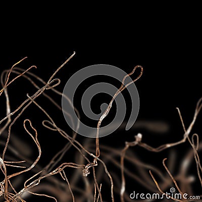 Rusty wire composition Stock Photo