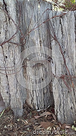 Rusty Wire and Fence Posts Stock Photo