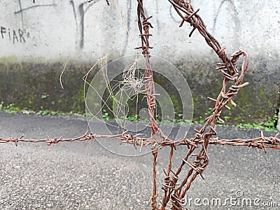 rusty wire with old thread Stock Photo