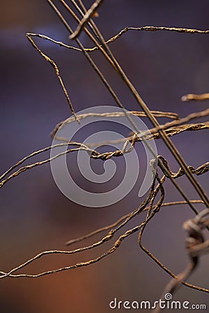 Rusty wiring Stock Photo