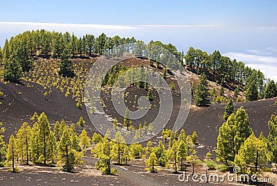 Ruta de los Volcanes, La Palma Stock Photo