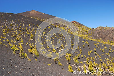 Ruta de los Volcanes, La Palma Stock Photo