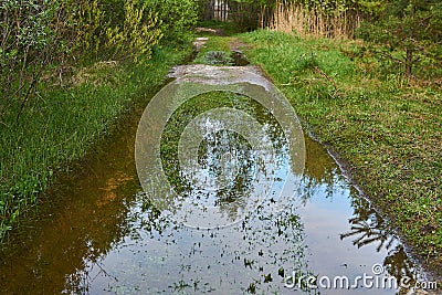 Ruts of a dirt road in the floodplain of a river under water during a flood Stock Photo
