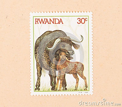 A stamp printed in Rwanda shows a waterbuffalo with a young, circa 1984 Editorial Stock Photo