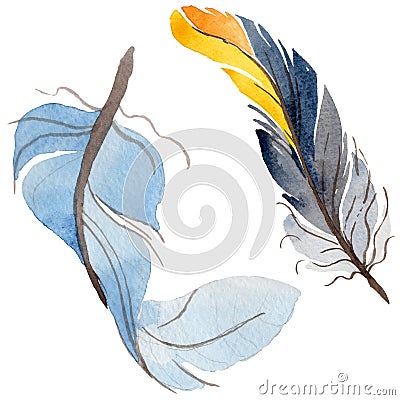 RWatercolor bird feather from wing isolated. Stock Photo