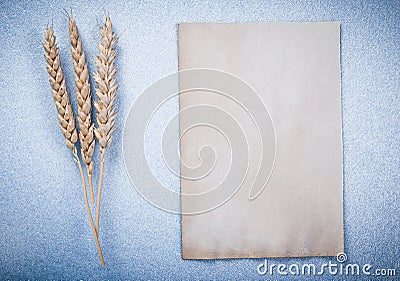 Rye ears vintage clean paper sheet on blue background horizontal Stock Photo
