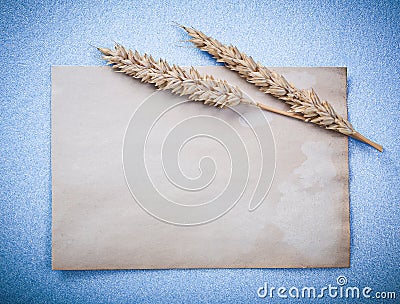 Rye ears vintage paper on blue background directly above Stock Photo