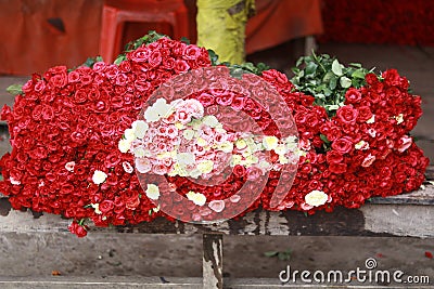 Red roses are the ultimate symbol of romantic love. Pink roses signify elegance and romance, Stock Photo