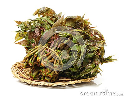 It`s a a pile of Chinese toon sprouts. It can make a variety of dishes, not only rich in nutrition, and has a high medicinal value Stock Photo