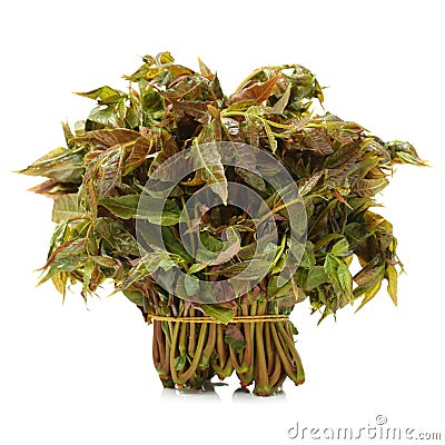 It`s a a pile of Chinese toon sprouts. It can make a variety of dishes, not only rich in nutrition, and has a high medicinal value Stock Photo