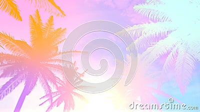 1980s retro background with tropical summer palm tree and sunlight Stock Photo